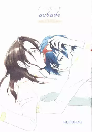 (Drill wa Otoko no Tamashii 3) [Earthly Southern Cross (Hashiba Rin)] aubade (Tengen Toppa Gurren Lagann)