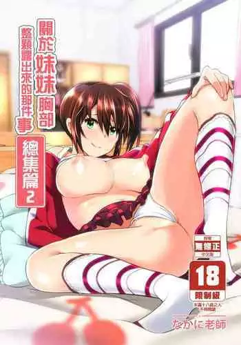 Imouto no Oppai ga Marudashi datta Hanashi Soushuuhen 2 |關於妹妹胸部整顆露出來的那件事 總集篇2