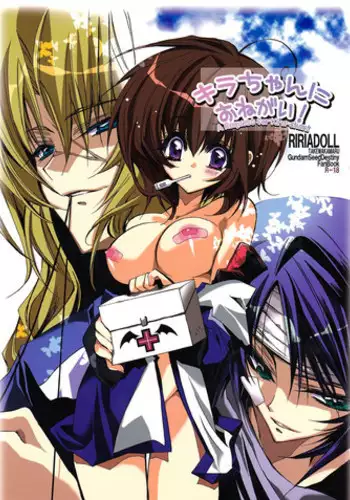 (C68) [RIRIADOLL (Takewakamaru)] Kira-chan ni Onegai! (Kidou Senshi Gundam SEED DESTINY) [English] [biribri]
